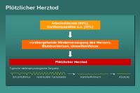Abbildung 45: Plötzlicher Herztod