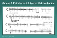Abbildung 70: Omega-3-Fettsäuren inhibieren Kalziumkanäle
