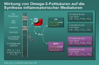 Abbildung 71: Wirkung von Omega-3-Fettsäuren auf die Synthese inflammatorischer Mediatoren