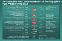 Abbildung 72: Wirksamkeit von Lipidmediatoren in Abhängigkeit vom Vorläufermolekül
