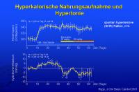 Abbildung 23: Hyperkalorische Nahrungsaufnahme und Hypertonie
