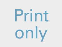 Abbildung 9: Arteria carotis