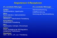 Abbildung 49: Angiotensin II-Rezeptoren