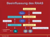 Abbildung 19: RAAS