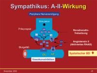 Abbildung 25: Angiotensin II