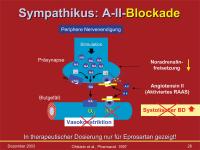 Abbildung 26: Angiotensin II