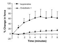 Figure 1: Endothelin-1 - Betaadrenerge Stimulation