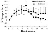 Figure 2: Endothelin-1 - Betaadrenerge Stimulation