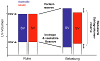 Abbildung 4: Schlag-Volumen-Reserve