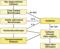 Abbildung 6: Epilepsie - Behandlung