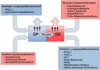 Abbildung 1: Einflussfaktor - Perfusion