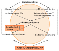 Abbildung 1: Exokrine - Endokrine - Dysfunktion   