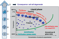 Abbildung 4: Warming process
