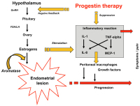 Abbildung 16: Progestins for endometriosis