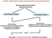 Abbildung 19: General principle of therapy for recurrent endometriosis