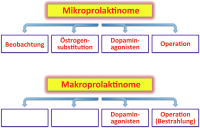 Abbildung 7: Prolaktinom
