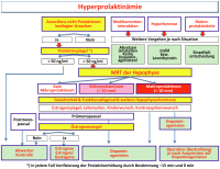 Abbildung 8: Hyperprolaktinämie - Prolaktinom