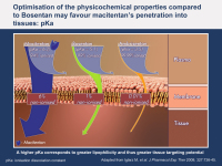 Abbildung 3: Macitentan