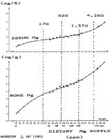 Figure 3: Magnesium-L-Aspartat - Magnesium