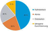 Abbildung 1: Spinaler Katheter