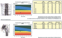 Abbildung 1: Osteodensitometrie-Befund