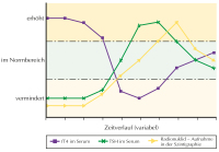 Abbildung 1: Schematischer Verlauf