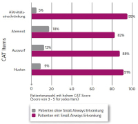 Abbildung 2: „Small Airways“-Erkrankung