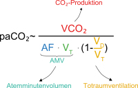 Abbildung 1: paCO₂-Wert