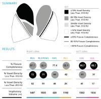 Abbildung 3: Quantitative CT
