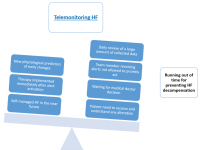 Abbildung 1: Telemonitoring