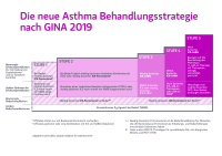 Abbildung 1: GINA-Schema 2019