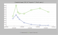 Abbildung 6: Troponin T - Print-Abbildung 3
