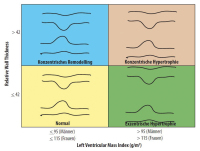 Abbildung 2: Echobefund