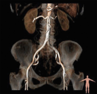 Abbildung 4: Zugangswege