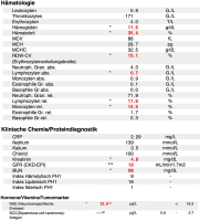 Abbildung 2: Laborwerte