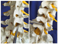 Abbildung 4: 3D-Modell