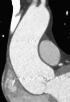 Abbildung 1: Phänotyp