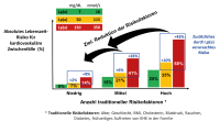Abbildung 2: Grafik Gesamtrisiko