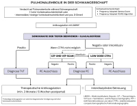 Abbildung 2: Guidelines
