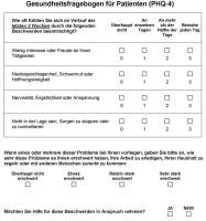 Abbildung 1: Fragebogen