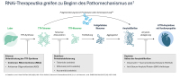 Abbildung 1: Schema