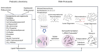 Abbildung 4: Prebiotic chemistry