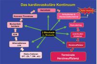 Abbildung 3: Kardiovaskuläres Kontinuum