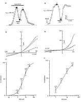 Figure 5: Kalziumkanal - Mibefradil