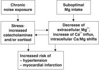 Figure 2: Lärmwirkung
