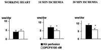 Figure 2: Adenosin und koronare Mikrozirkulation