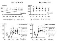 Figure 4: Adenosin und koronare Mikrozirkulation