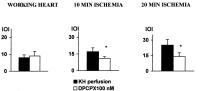 Figure 5: Adenosin und koronare Mikrozirkulation
