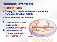 Abbildung 5: Weibliche Reproduktion - Hormonelle Ereignisse