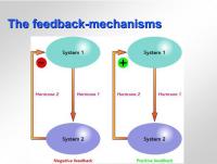 Abbildung 5: Feedback-Mechanismus